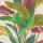 Green & Red Green & Red