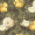 Yellow Yellow
