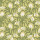 Olive Green Olive Green