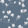 Dusky Seaspray
