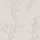 Dove Grey