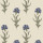 Dusky Seaspray Blue