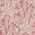 Raspberry Raspberry