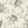 Fern