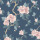 Dusky Seaspray