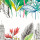 Tropical Bright