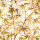 Golden Rod