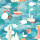 Aqua & Coral