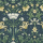 Navy Navy