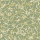 Fern