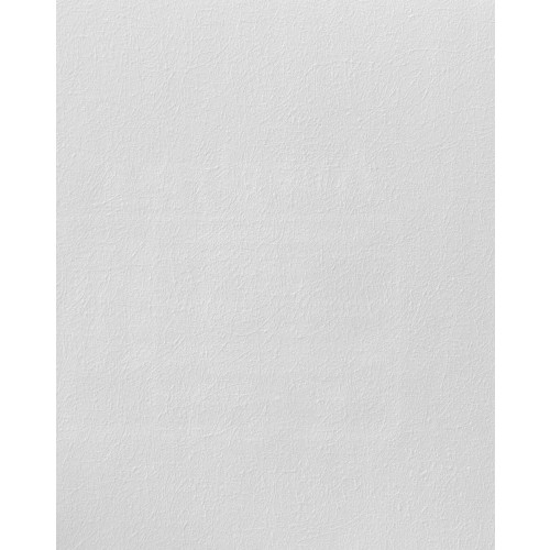 Anaglypta Paintable Wallpaper Armadillo Contract Lapwing - RD735