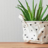Superfresco Paintable Wallpaper Louis