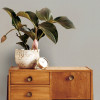 Superfresco Colours Aaron Wallpaper Sage/Green