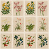 Laura Ashley Pershore Postcards Wallpaper Linen