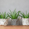 Superfresco Paintable Wallpaper Stipple