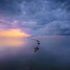 Anaglypta Wall Mural Wetland Sunrise - 8 Panel (384cm x 260cm)