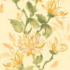 Ohpopsi Hanashi Kiku Wallpaper Sunrise