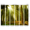 Origin Murals Spruce Forest Mural Evergreen - Medium (300cm x 240cm)