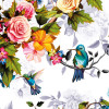 Origin Murals Hummingbird Garden Mural Multi - Medium (300cm x 240cm)