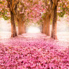 Origin Murals Blossom Trees Mural Rose Pink - Medium (300cm x 240cm)