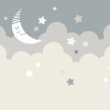 Origin Murals Nighttime Children's Sky Mural Dove Grey - Medium (300cm x 240cm)