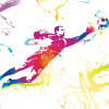 Origin Murals Football Goalkeeper Mural Multi - Medium (300cm x 240cm)
