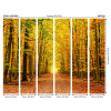 Origin Murals Autumn Forest Mural Spice - Medium (300cm x 240cm)