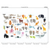 Origin Murals Animal Collection Mural Multi - Medium (300cm x 240cm)