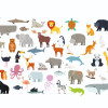 Origin Murals Animal Collection Mural Multi - Medium (300cm x 240cm)