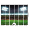 Origin Murals Football Stadium Mural Green - Medium (300cm x 240cm)