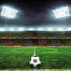 Origin Murals Football Stadium Mural Green - Medium (300cm x 240cm)