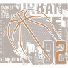 Origin Murals Modern Basketball Mural Grey - Medium (300cm x 240cm)