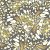Origin Murals Butterfly Wings Mural Medium Black and Olive Green (300cm x 240cm)