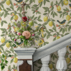 Holden Décor Lemon Leaf Trail Cream / Orange Wallpaper